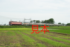 鉄道写真データ（JPEG）、00646490、団臨、カシオペア紀行、EF81-81＋カシオペア、JR東北本線、東大宮〜蓮田、2016.06.11、（6919×4618）