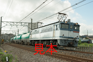 鉄道写真データ（JPEG）、00698409、EF65-2086＋貨物、JR高崎線、北鴻巣〜吹上、2016.08.25、（7152×4773）