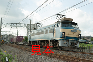 鉄道写真データ（JPEG）、00698412、EF66-30＋貨物、JR高崎線、北鴻巣〜吹上、2016.08.25、（7360×4912）