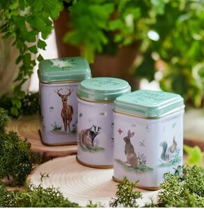 Newin Clean Tea Tea Woodland Friends 3 может установить новый нераскрытый