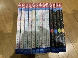 宵の嫁入り1巻〜９巻＋親愛なるFへ　オペラ座の怪人1巻～4巻