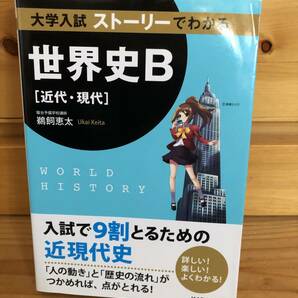 ※送料込※「大学入試　ストーリーでわかる　世界史B　近代・現代　鵜飼恵太　KADOKAWA」古本