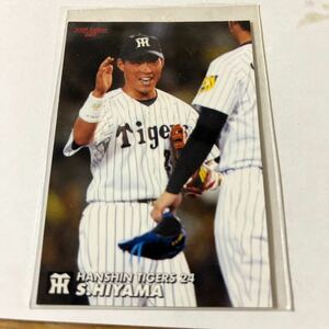 2004カルビープロ野球チップスカード 阪神タイガース　桧山進次郎選手