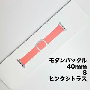 アップル純正 アップルウォッチバンド モダンバックル ステンレススチールバックル 40mm Sサイズ ピンクシトラス