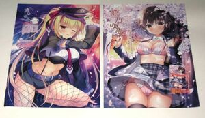  book of paintings in print THE ART OF hawk ...( is only underwear . pants cord ... apron meido skirt . comb up punch la. legs )