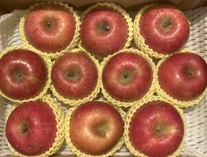 蜜入りサンふじりんご　岩手県特産　Lサイズ　10玉入　家庭用　 秀品　
