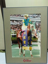 ギャロップ　競馬パネル　サイレンススズカ　金鯱賞　サイズは　約45cm×34cm×2,5cm　_画像1