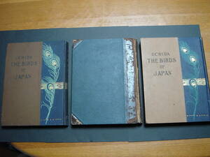 戦前朝鮮台湾 日本鳥類図説上下続3冊揃 大正4年 警醒社書店 台湾産鳥類、朝鮮産、満州産鳥類目録、彩色図版