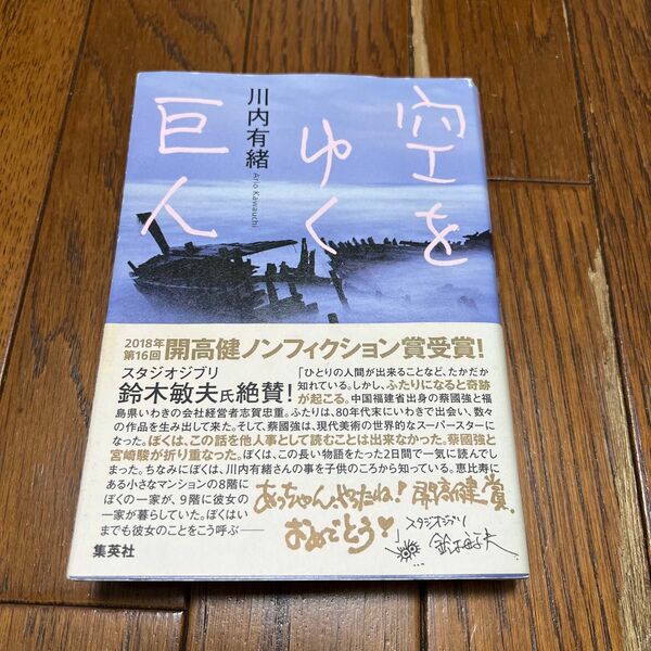 空をゆく巨人 川内有緒／著