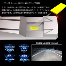 LEDヘッドライト H4 Hi/Lo切替 DC12V 8000ルーメン 3000K イエロー 新車検対応 2本セット 1年保証_画像3