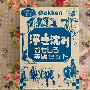 学研　浮き沈みおもしろ実験セット