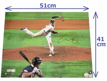 【MS】大谷翔平 直筆サイン 2023年WBC決勝 優勝決定トラウト奪三振シーン！特大写真(41x51cm) MLB公式証明付 Fanatics ドジャース_画像1