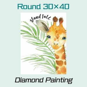 【ダイヤモンドアートキット】 キリン 動物 30×40 《丸型／ラウンドビーズ》ダイヤモンドペインティング モザイクアート