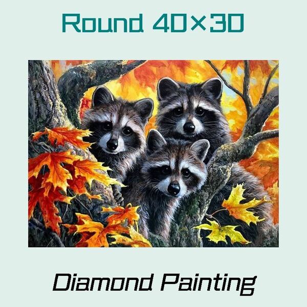 【ダイヤモンドアートキット】 アライグマ 動物 40×30 《丸型／ラウンドビーズ》ダイヤモンドペインティング モザイクアート