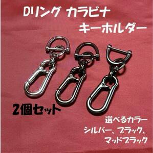 Dリング カラビナ キーホルダー 選べる2個セット 亜鉛合金 車 バイク 自転車