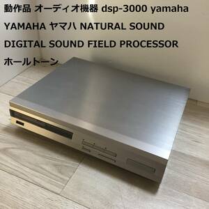 動作品 オーディオ機器 dsp-3000 yamaha YAMAHA ヤマハ NATURAL SOUND DIGITAL SOUND FIELD PROCESSOR ホールトーン 