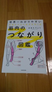 世界一わかりやすい　筋肉のつながり図鑑