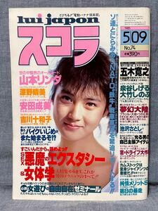 スコラ 昭和60年 1985年 5月9日 No.74 山本リンダ ヌード 安田成美 深野晴美 吉川十和子 鉄牛部隊