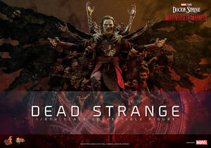 ホットトイズ 1/6 ドクター・ストレンジ マルチバース・オブ・マッドネス デッド ストレンジ 未開封新品 MMS654 Dead Strange Hottoys