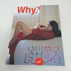 【サイン入り】 写真集 川村ゆきえ Why? 直筆サイン入り A70