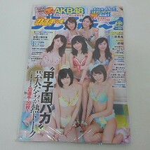 未使用 雑誌 週刊プレイボーイ 2015年 8月17日号 NO.33 AKB48 _画像1