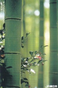 竹と椿　JR東日本フリーオレンジカード