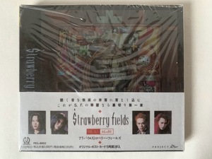 未開封 見本品 ストロベリー・フィールズ Strawberry fields アリバイ ALiBI