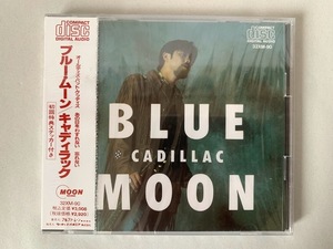 未開封 見本品 キャディラック CADILLAC ブルー・ムーン BLUE MOON プロモ盤