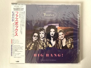 未開封 見本品 ファズボックス FUZZBOX ビッグ・バング BIG BANG! プロモ盤