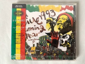 未開封 見本品 バーニング・スピア ライヴ1993 burning spear LIVE 1993 プロモ盤