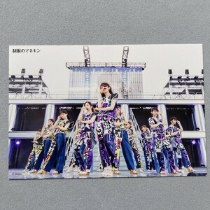 乃木坂46 制服のマネキン 齋藤飛鳥 西野七瀬 白石麻衣 松村沙友理 星野みなみ 衛藤美彩 与田祐希 ライブポストカード