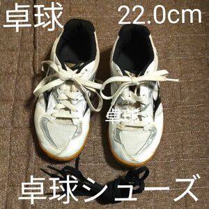 卓球 シューズMIZUNO　22.0cm