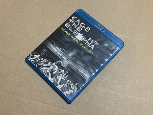 【輸入盤ブルーレイ】cage the elephant　Live From The Vic In Chicago ケイジ・ジ・エレファント (Blu-ray) 