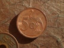南アフリカ　5Cents　クロム張りスチール　1996年　KM#160　(21.0mm, 4.4g)_画像1