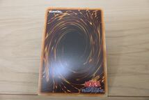 1円スタート　YU-GI-OH 遊戯王カード 竜魔王レクターP シークレットレア_画像6