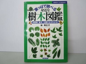 葉っぱで調べる身近な樹木図鑑―街路樹、庭木、公園の木がわかる! (主婦の友ベストBOOKS) y0601-bb7-ba254753