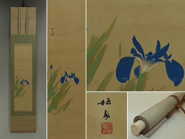 2025年最新】Yahoo!オークション -掛け軸 菖蒲(日本画)の中古品 2025年最新】Yahoo!オークション -掛け軸 菖蒲(日本画)の中古品