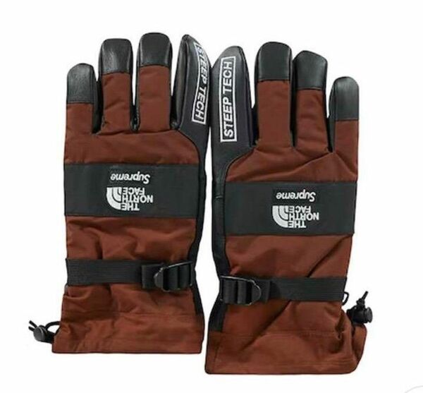 Supreme The North Face Steep Tech Gloves