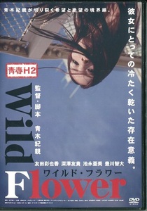 レンタルアップDVD☆中古☆青春H2 Wild Flower ワイルド・フラワー / 友田彩也香　深澤友貴　池永亜美　豊川智大　青木紀親監督