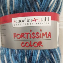 100円～ c12 毛糸 手芸材料 編み物◆FORTISSIMA COLOR ソックスヤーン_画像2