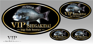 魚ステッカー(VIPイシガキダイ)防水,UVカット,海,釣り,石垣鯛（3サイズセット）