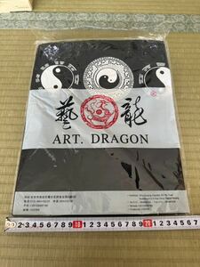 Art hand Auction td0215 ART.DRAGON Geiryu Bagua Zaubertricks, Malerei, Ukiyo-e, drucken, Andere