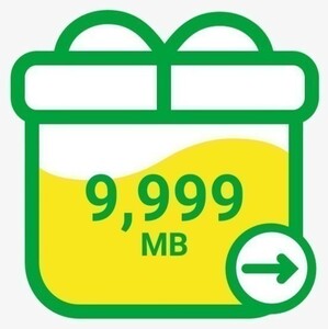 マイネオ パケットギフト 9999MB mineo　約10GB　２月②