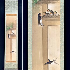 【模写】美鳳「梅雨燕図」掛軸 絹本 花鳥図 鳥獣 日本画 日本美術 つばめ 雛 合箱 人が書いたもの h022215