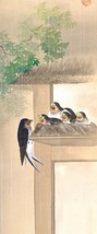【模写】美鳳「梅雨燕図」掛軸 絹本 花鳥図 鳥獣 日本画 日本美術 つばめ 雛 合箱 人が書いたもの h022215_画像8