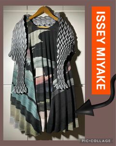 イッセイミヤケ ３Ｄ パノラマ スチーム系プリーツ ISSEY MIYAKE チュニック