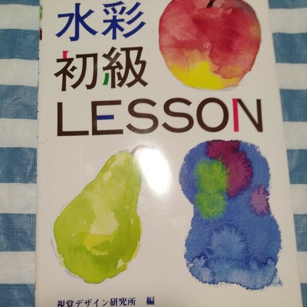 みみずく　ビギナーシリーズ　水彩初級　LESSON　レッスン　視覚デザイン研究所　