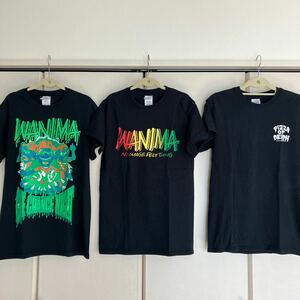 ピザオブ　ワニマ　バンドTシャツ wanima フェス　ライブ半袖Tシャツ プリントTシャツ