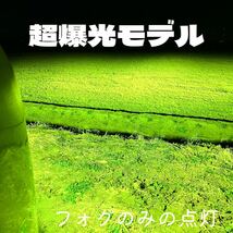 LED HB4 H8 H11 H16 シリーズ9.2 超爆光　グリーンレモン　ワンオフ　※直視厳禁※ iPhoneにて撮影画像盗難禁止_画像3