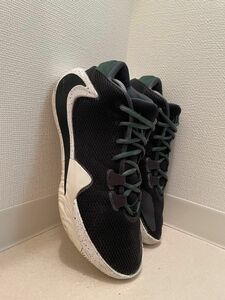 NIKE zoom freak1 スニーカー NIKE